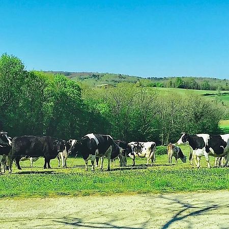 « Le Vieux Hangar » Gite A La Ferme Le Buisson-de-Cadouin Exterior photo