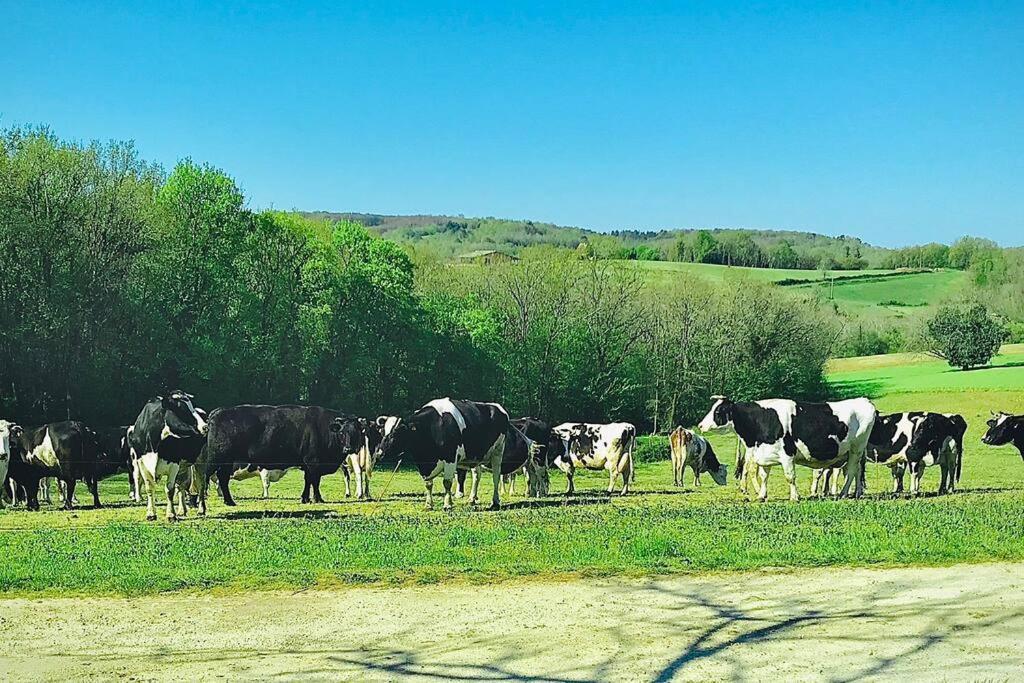 « Le Vieux Hangar » Gite A La Ferme Le Buisson-de-Cadouin Exterior photo